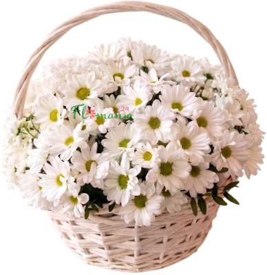 Корзина с белыми хризантемами «Унесённые ветром»